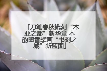 刀笔春秋镌刻“木业之都”新华章 木韵墨香擘画“书刻之城”新蓝图
